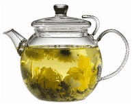 Concert Series Concerto